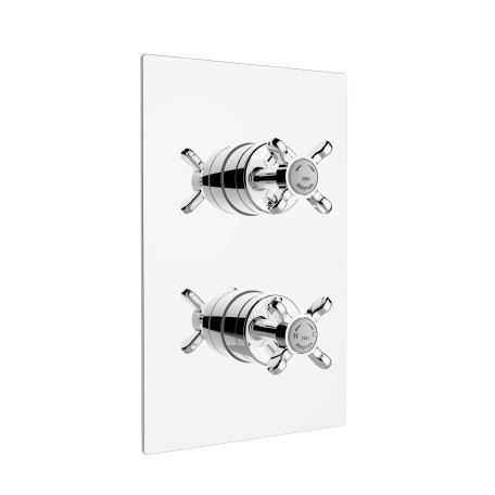 Bristan N2SHCDIVC 1901 Recessed Dual Control Thermostatic Shower Valve/Integral Two Outlet Diverter Chrome