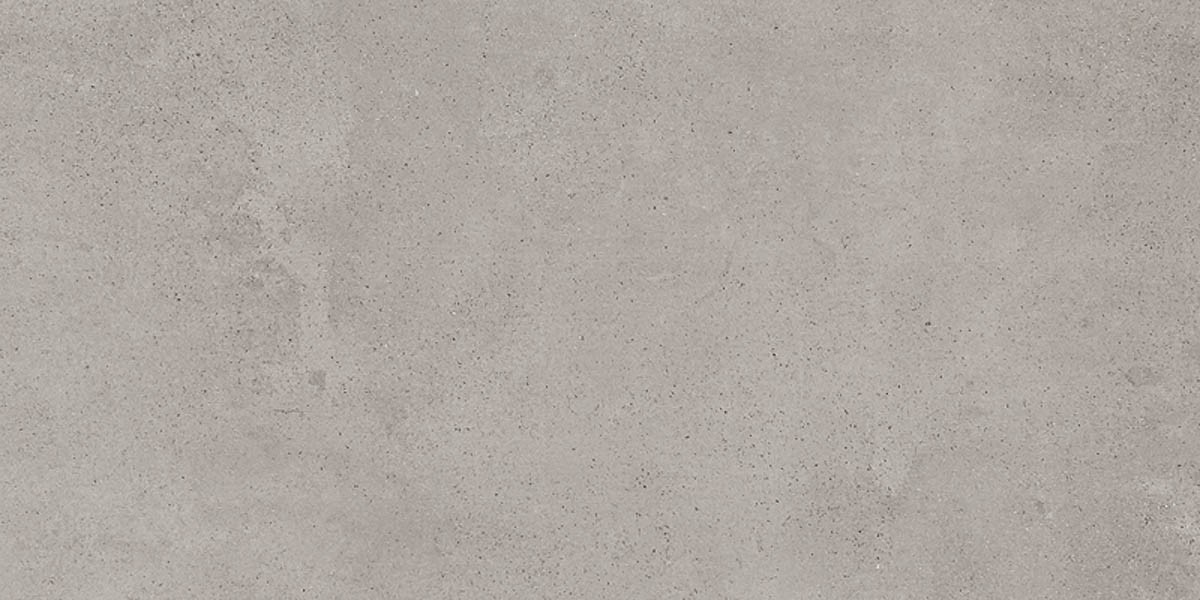 Craven Dunnill CDAR220 Sediment Argent Wall & Floor Tiles 600x300mm