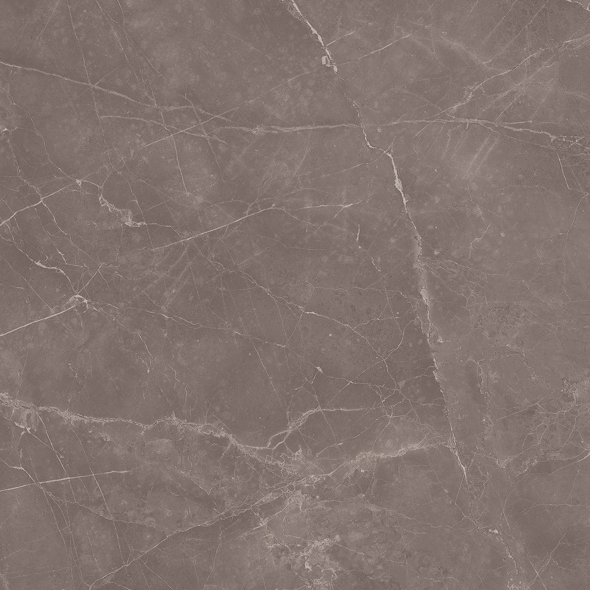 Craven Dunnill CDL164 Marquis Tortora Matt Floor Tile 592x592mm