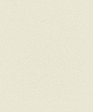 Nuance Feature Panel (Gloss Finish) 2420 x 580 x 11mm Vanilla Quartz [815264]