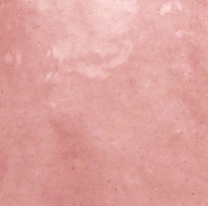 Craven Dunnill Maison Rose Mallow Wall Tile 132x132mm (Box of 57) [REN449]