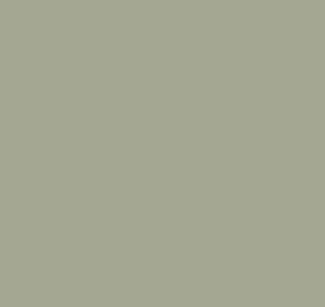Fibo Signature Aqualock Wall Panel 2400 x 600mm Olive Green [DIWW0048]
