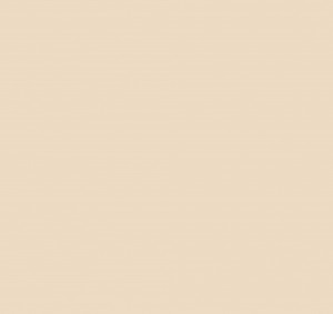 Fibo Signature Aqualock Wall Panel 2400 x 600mm Light Sand [DIWW0050]