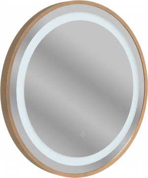 Halano Round Front-Lit LED Mirror 600mm Brushed Bronze [PLUM109001]