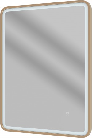 Isili Rectangular Front-Lit LED Mirror 600mm Brushed Bronze [PLUM109013]