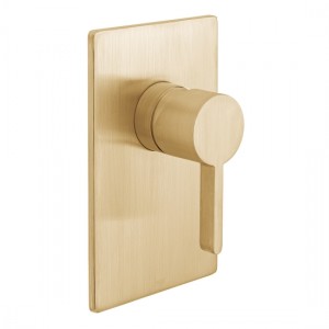 Individual by Vado Edit Manual Concealed Shower Valve 1 Outlet Brushed Gold [IND-EDI145A-BRG]