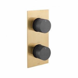 Individual by Vado X Fusion Thermostatic Shower Valve 2 Outlet Vertical Brushed Gold & Black [IND-T148/2-XGBK]