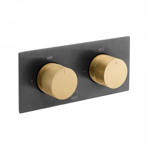 Individual by Vado X Fusion Thermostatic Shower Valve 2 Outlet Horizontal Brushed Black & Gold [IND-T148/2-H-XBGK]