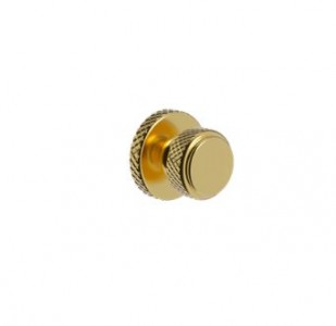 Burlington Guild Furniture Knobs (Pair) Gold [GUKG]