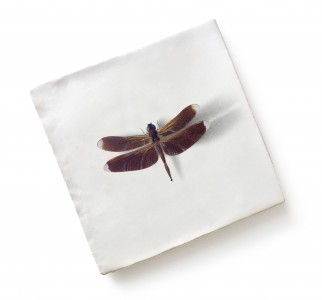 CaPietra Menagerie by Michael Angove Wall Tile (Gloss Finish) Dragonfly 130 x 130 x 10mm [7242]