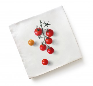 CaPietra Menagerie by Michael Angove Wall Tile (Gloss Finish) Tomatoes 130 x 130 x 10mm [7255]