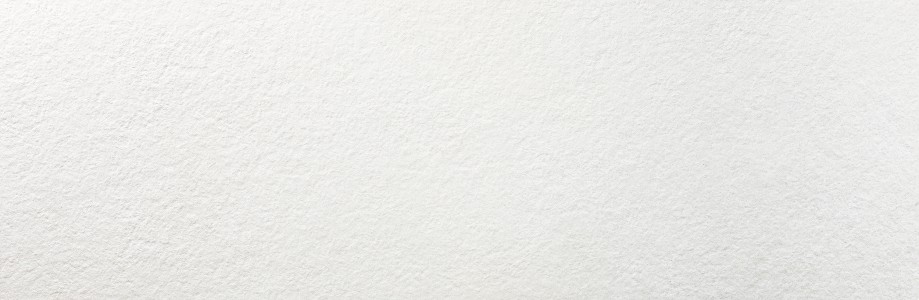 Craven Dunnill Causeway Blanco Wall Tile 890x290mm (Box of 4) [CDAZ140]