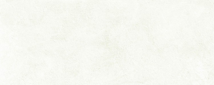 Craven Dunnill Eden White Wall Tile 500x200mm (Box of 14) [CDM0T5]