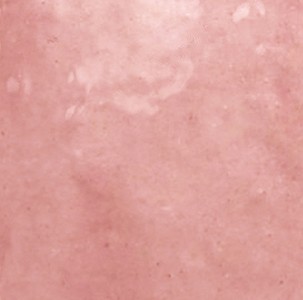 Craven Dunnill Maison Rose Mallow Wall Tile 132x132mm (Box of 57) [REN449]