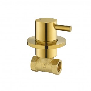 Flova Levo Wall Mounted Shut Off Valve (Cold) Brushed Gold [BG-LVWMCONCW]
