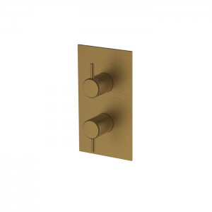 Britton HOX006BB Hoxton Shower Plate & Handles Brushed Brass for Shower Mixer Valve (Shower Valve NOT Included)