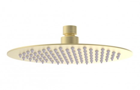 Paradiso Ultra-Slim Showerhead (Round) 200mm Brushed Brass [PLUM111553]