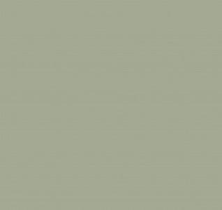 Fibo Signature Aqualock Wall Panel 2400 x 600mm (2 Pack) Olive Green [DIWW0242]