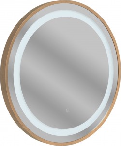 Halano Round Front-Lit LED Mirror 600mm Brushed Bronze [PLUM109001]