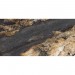 label2